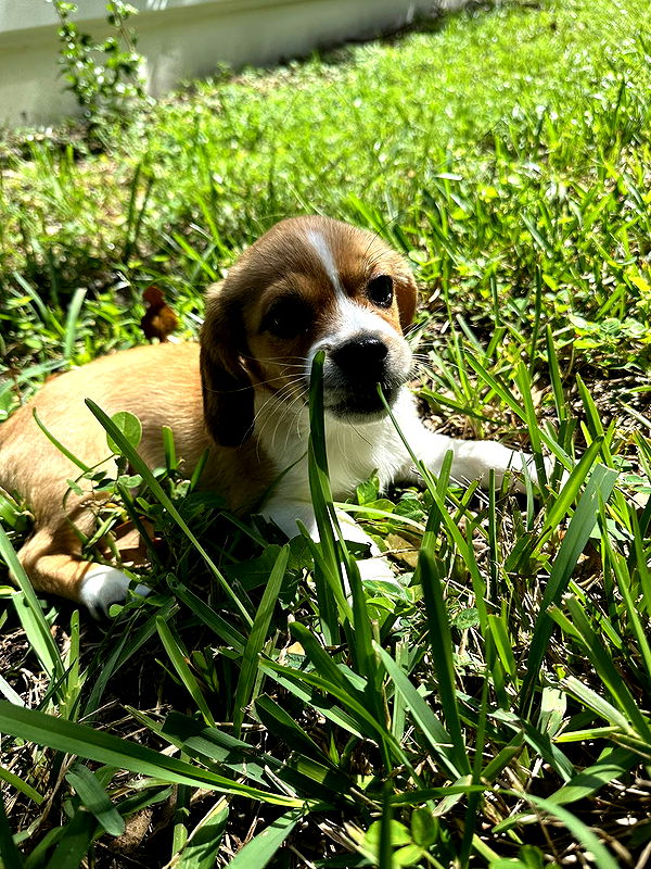 kydoddss image ~ Altpins