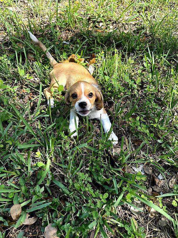 kydoddss image ~ Altpins