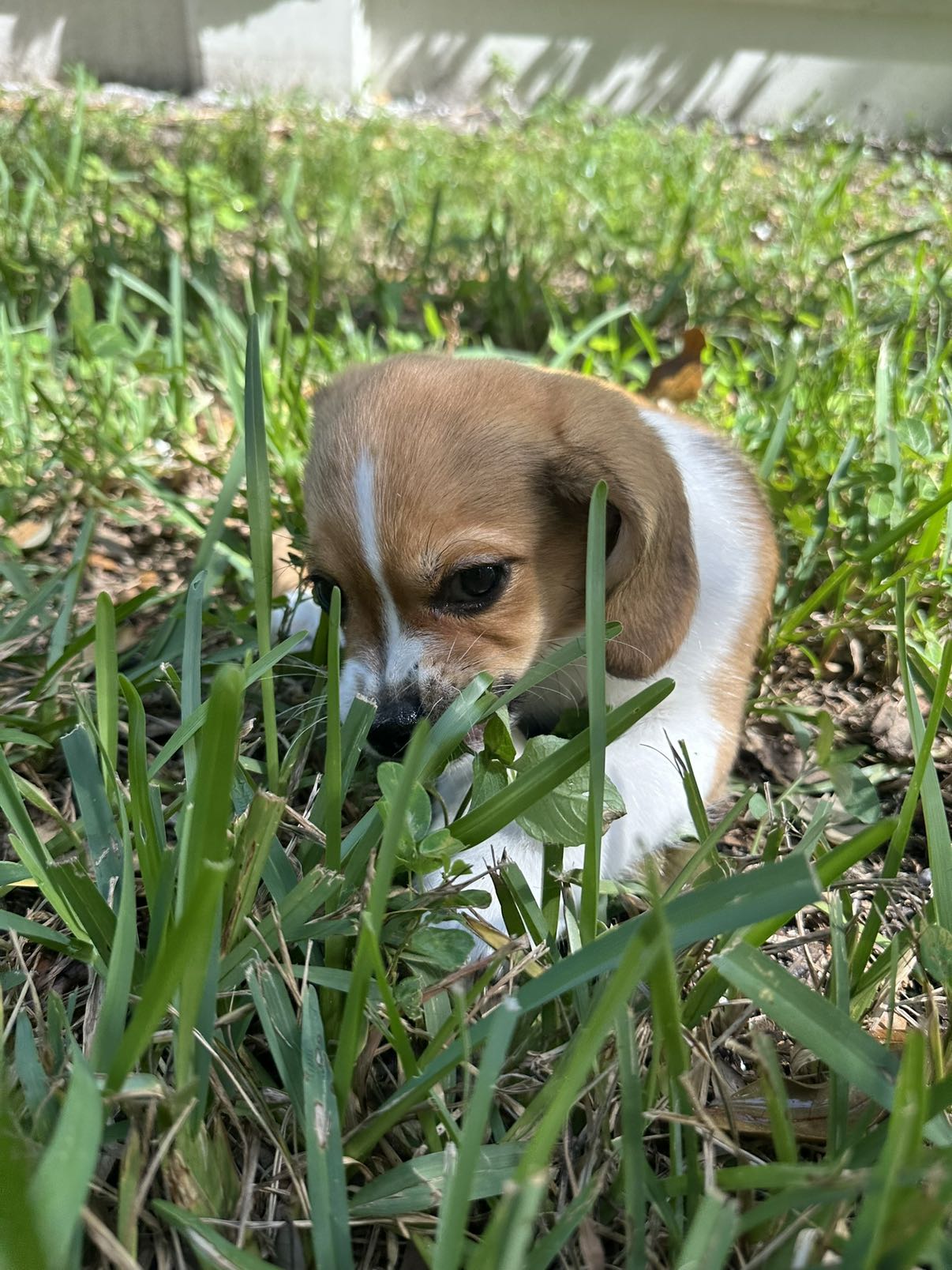 kydoddss snapchat image archive image