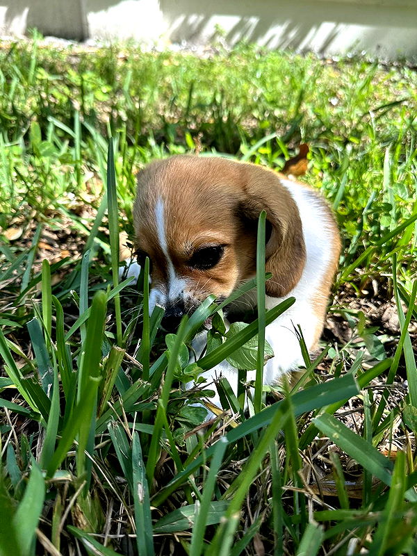 kydoddss image ~ Altpins