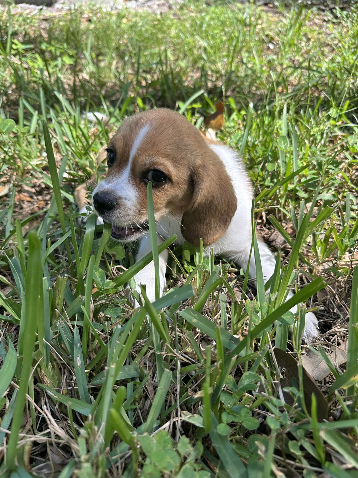 kydoddss snapchat image archive image