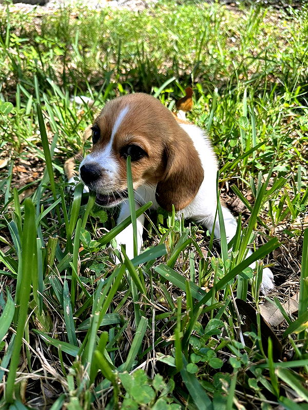 kydoddss image ~ Altpins