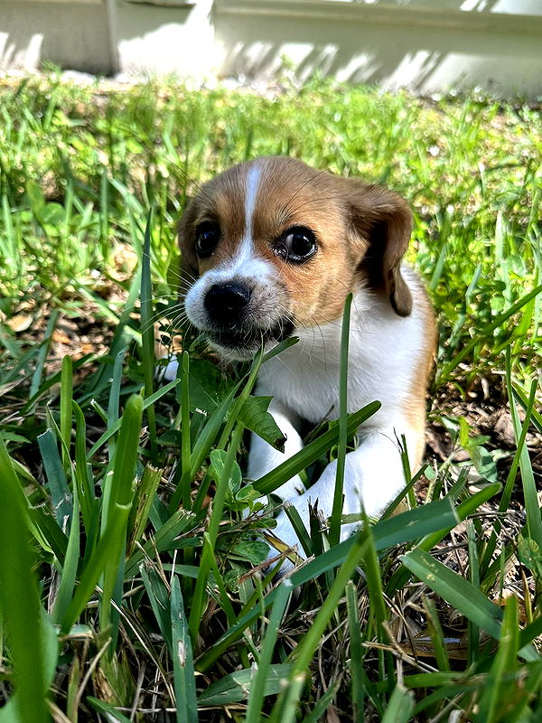 kydoddss image ~ Altpins