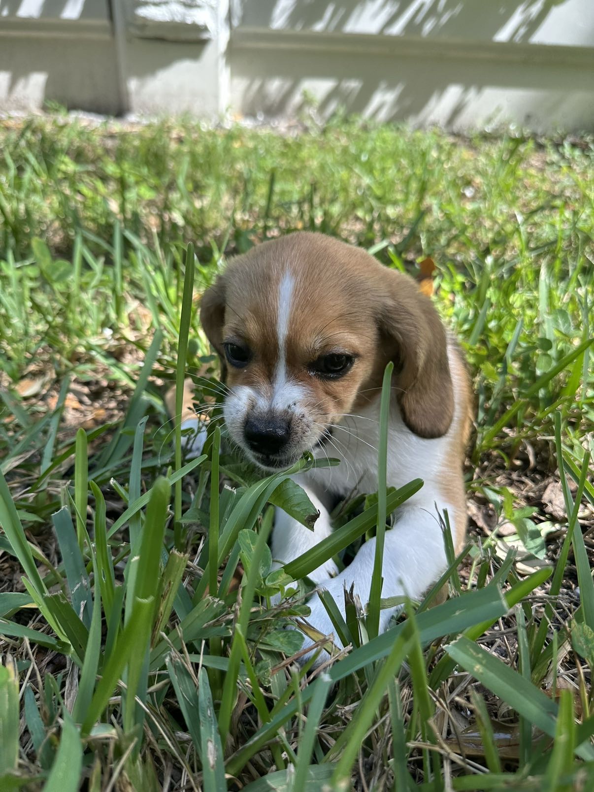 kydoddss snapchat image archive image