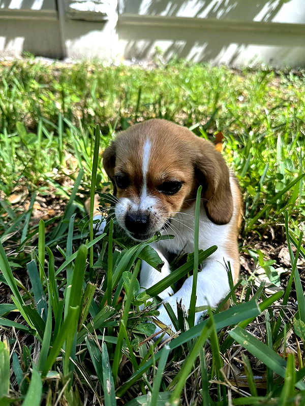 kydoddss image ~ Altpins