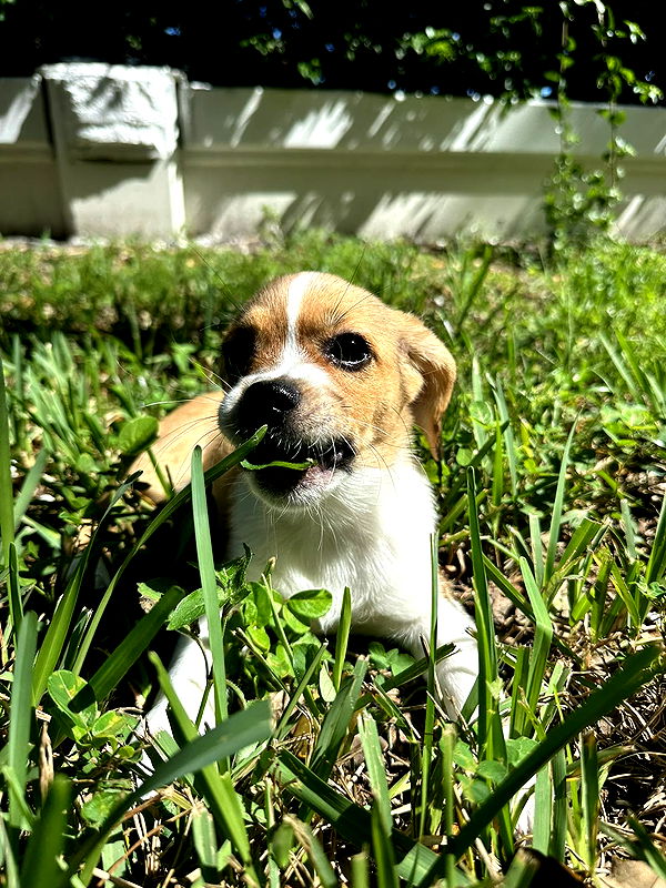 kydoddss image ~ Altpins