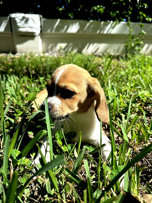 kydoddss image ~ Altpins