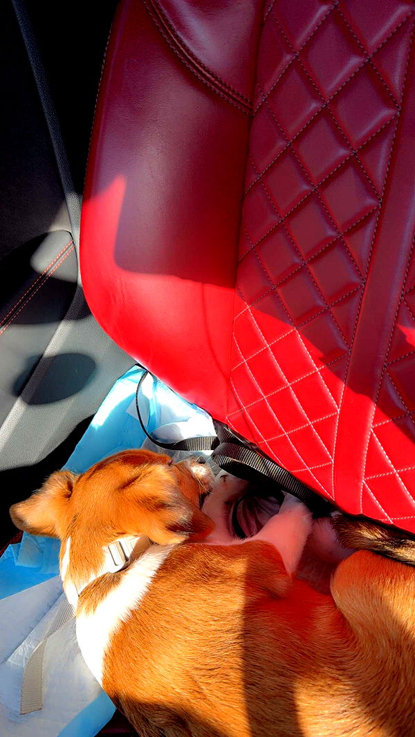 kydoddss image ~ Altpins