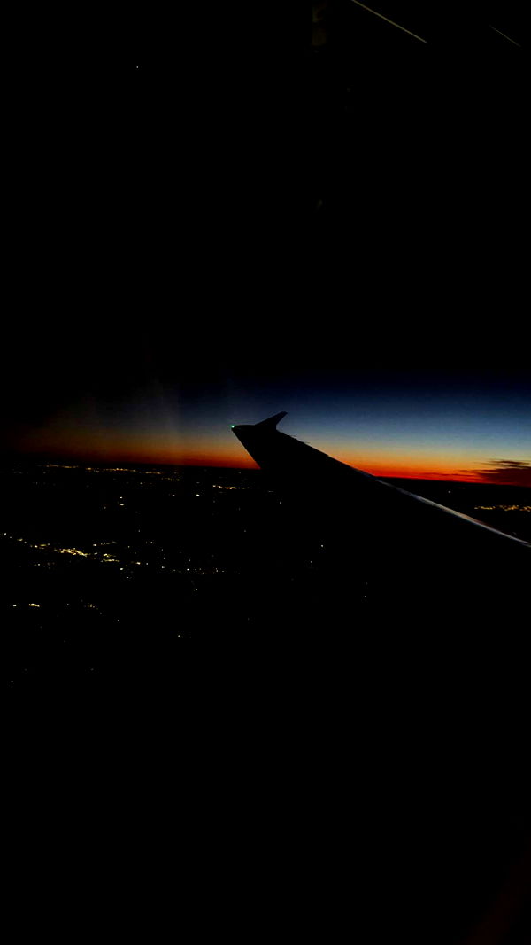 kydoddss image ~ Altpins