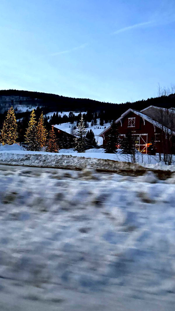 kydoddss image ~ Altpins