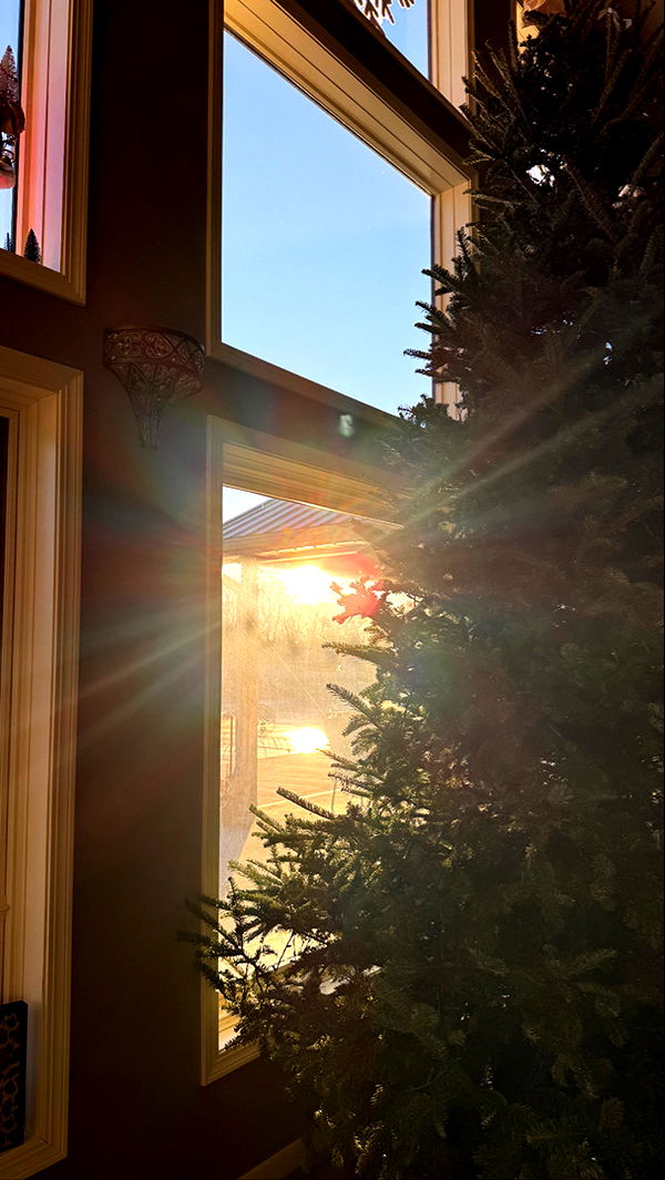 kydoddss image ~ Altpins