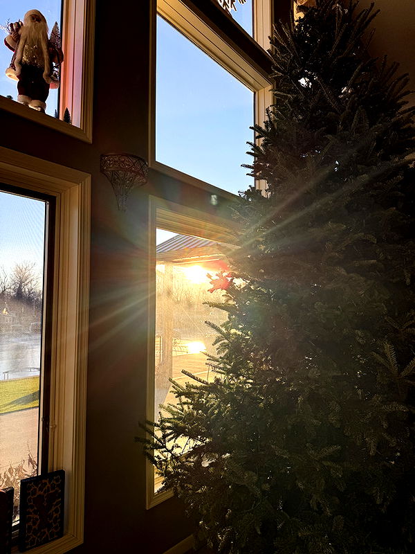 kydoddss image ~ Altpins