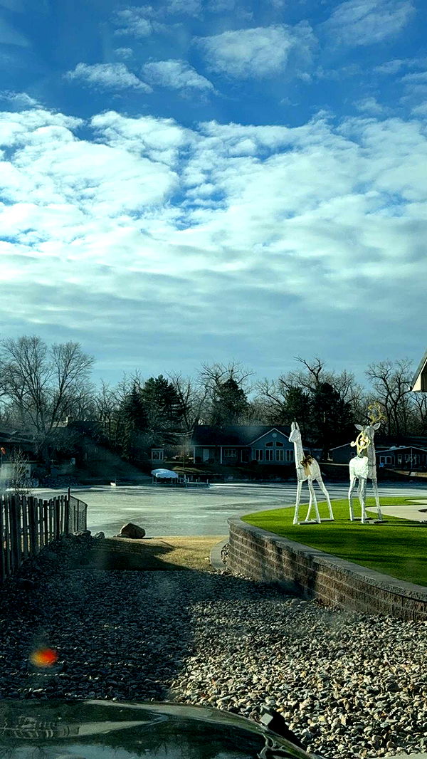 kydoddss image ~ Altpins