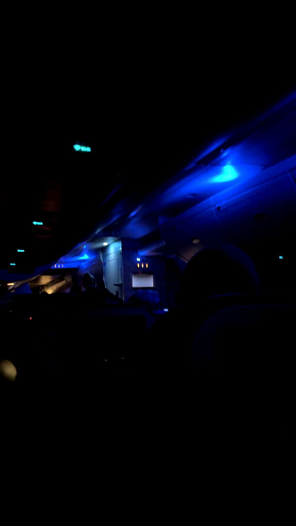 kydoddss image ~ Altpins