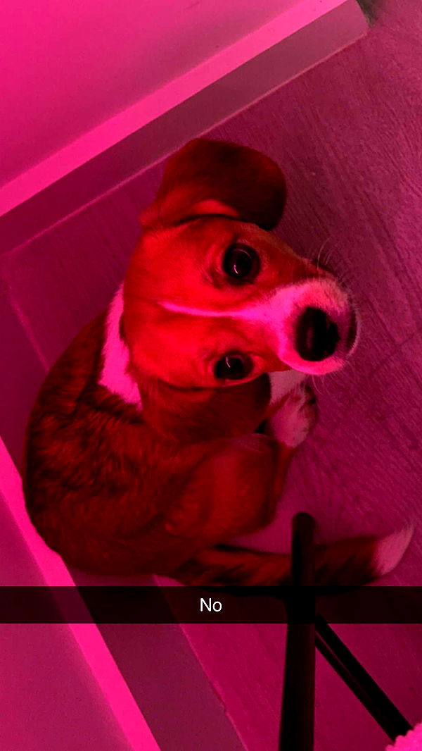 kydoddss image ~ Altpins