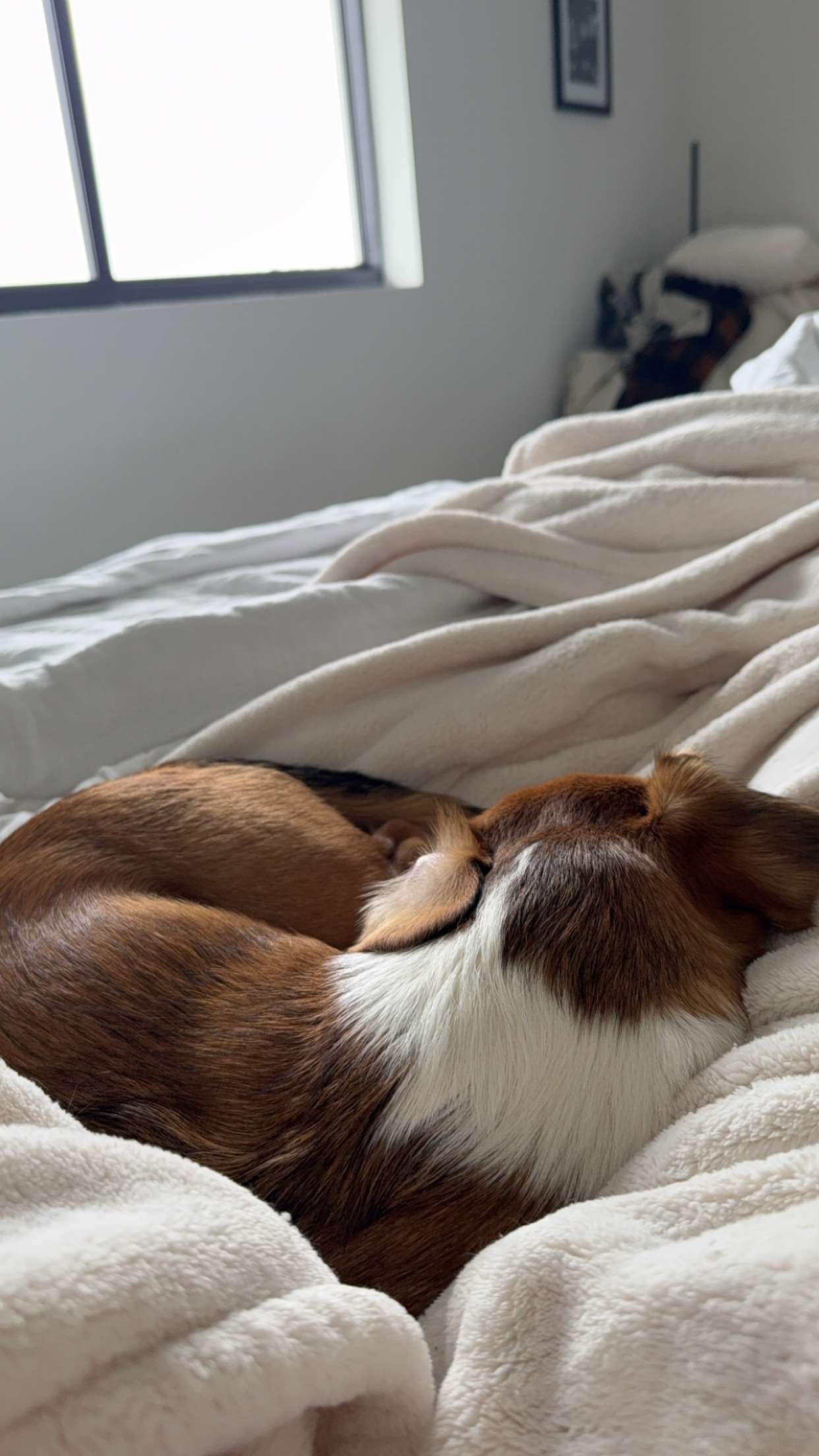 kydoddss snapchat image archive image