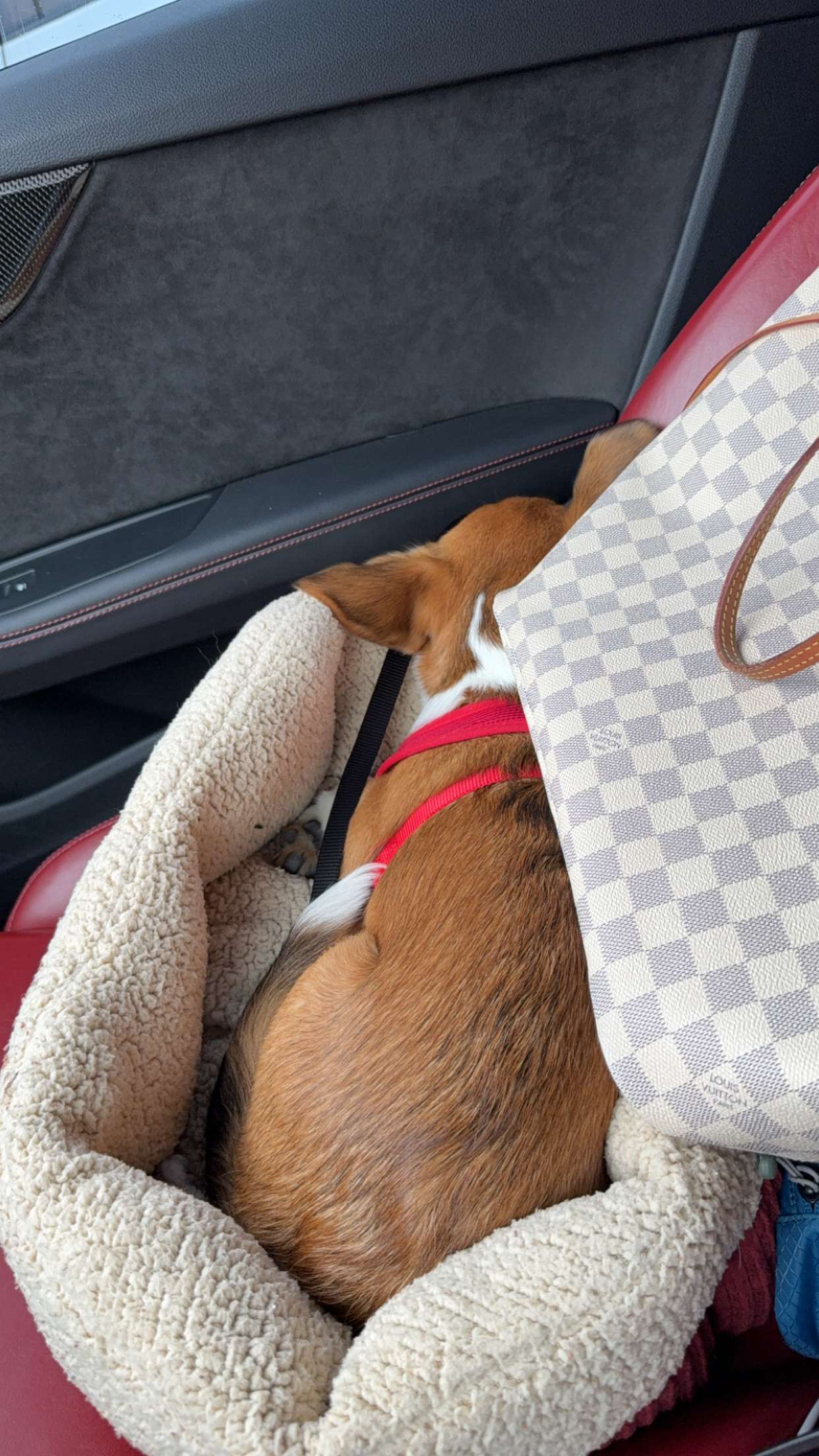 kydoddss snapchat image archive image