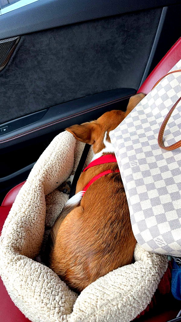 kydoddss image ~ Altpins