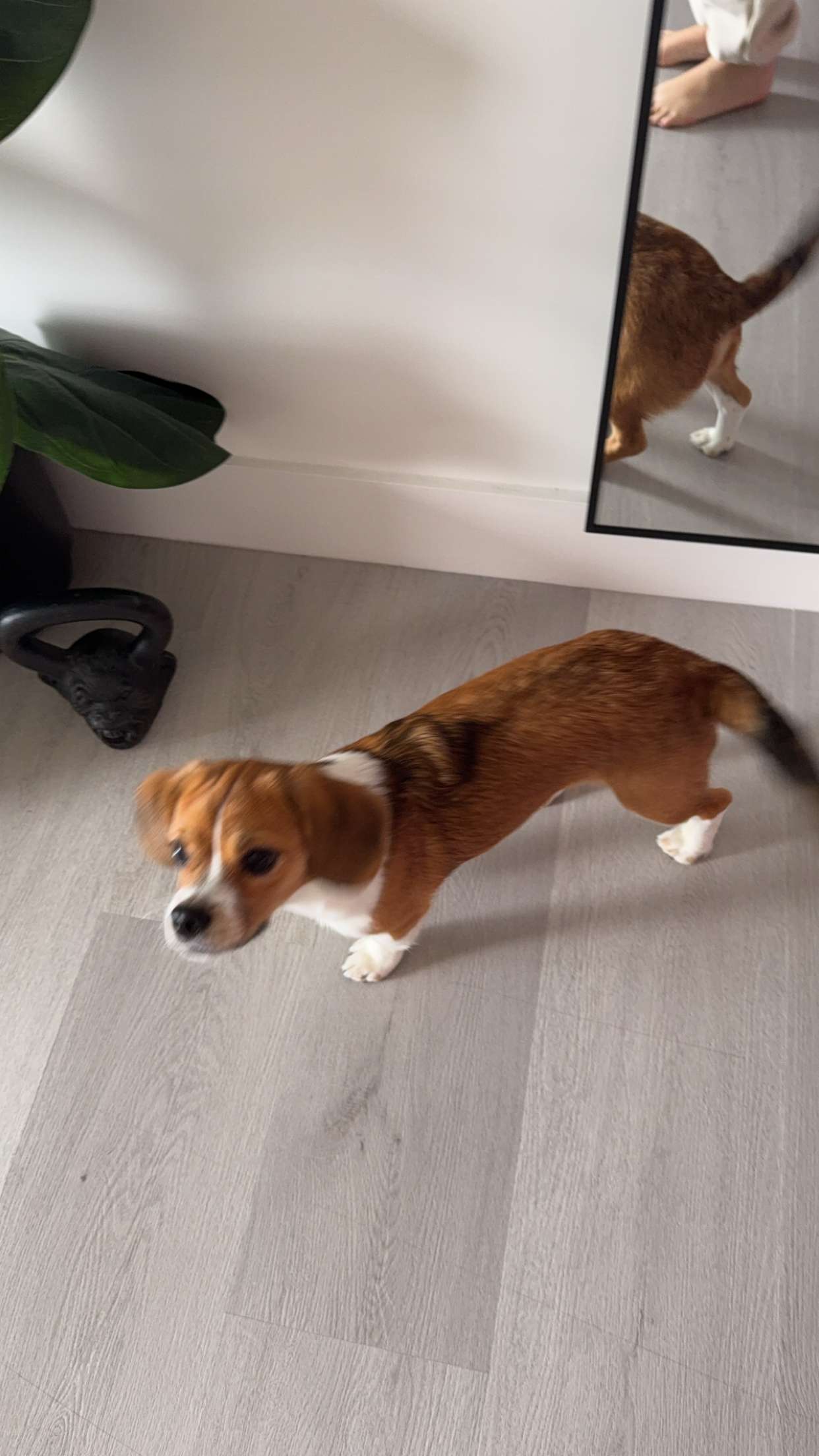 kydoddss snapchat image archive image