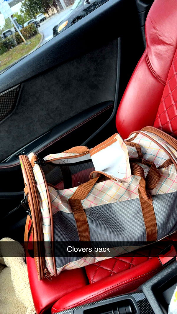 kydoddss image ~ Altpins