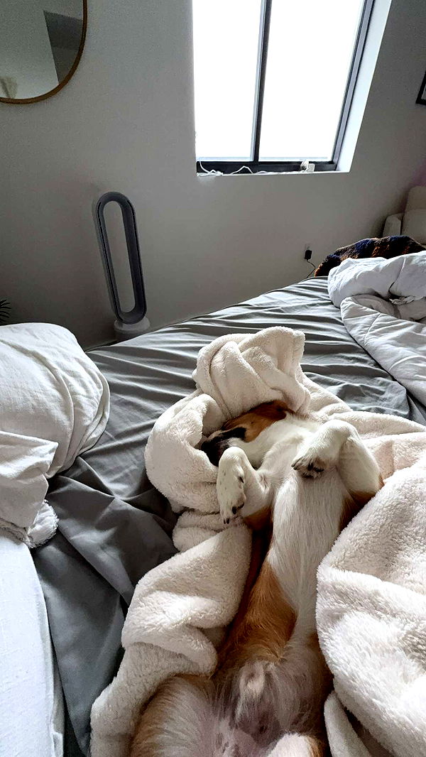 kydoddss image ~ Altpins