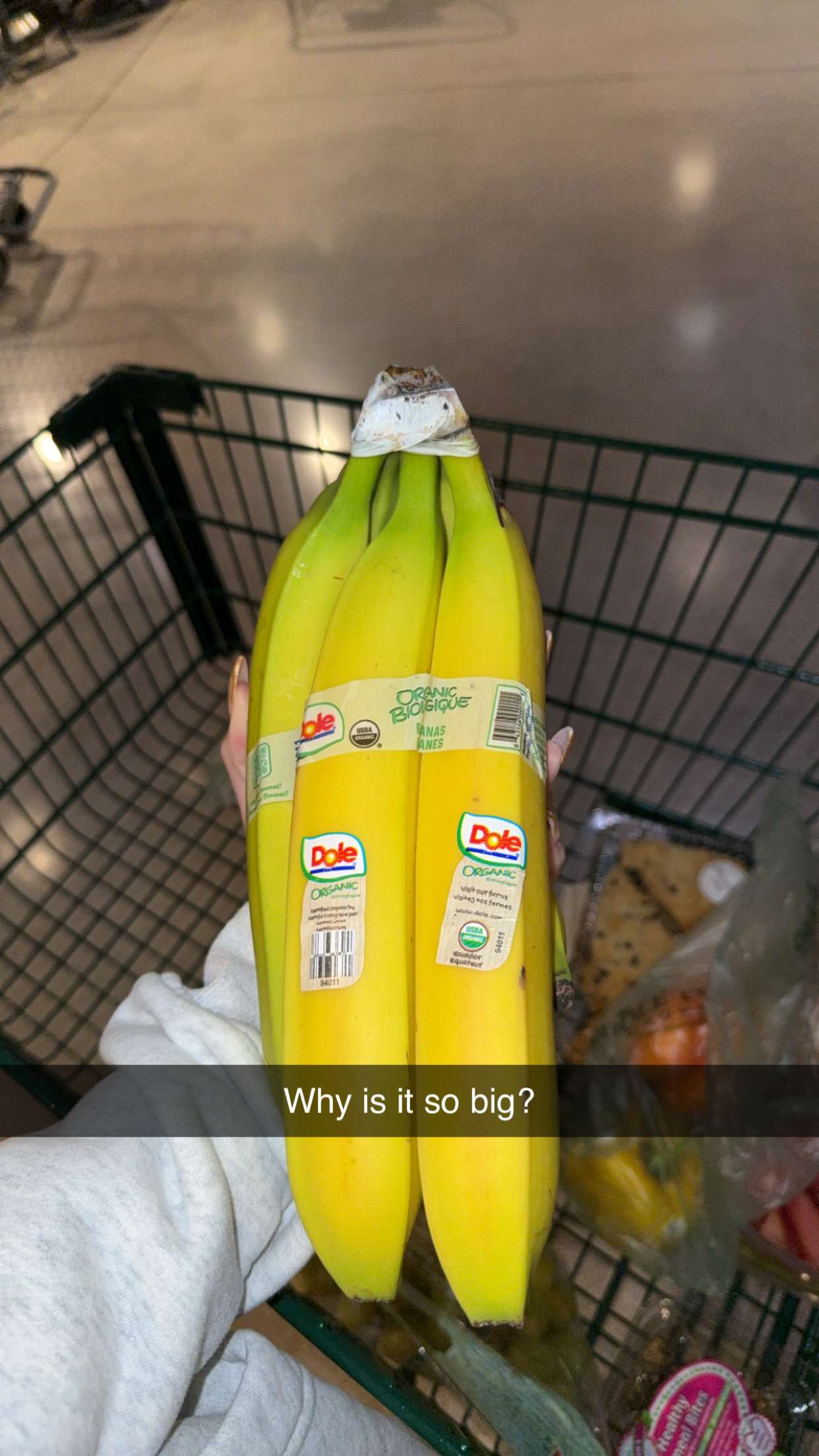 kydoddss snapchat image archive image