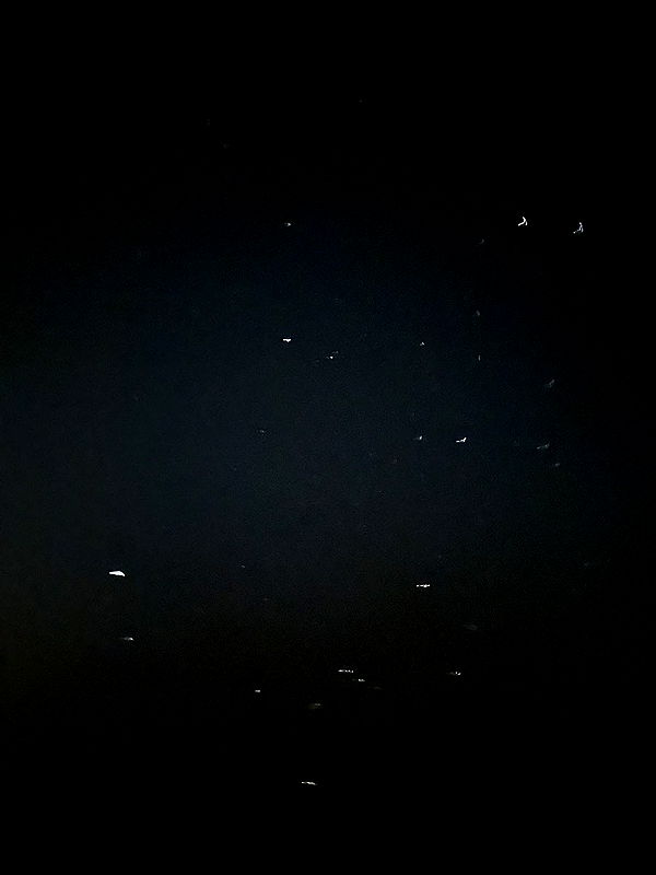 kydoddss image ~ Altpins