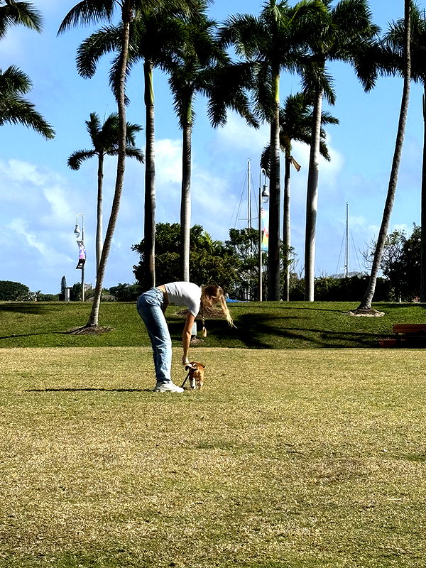 kydoddss image ~ Altpins