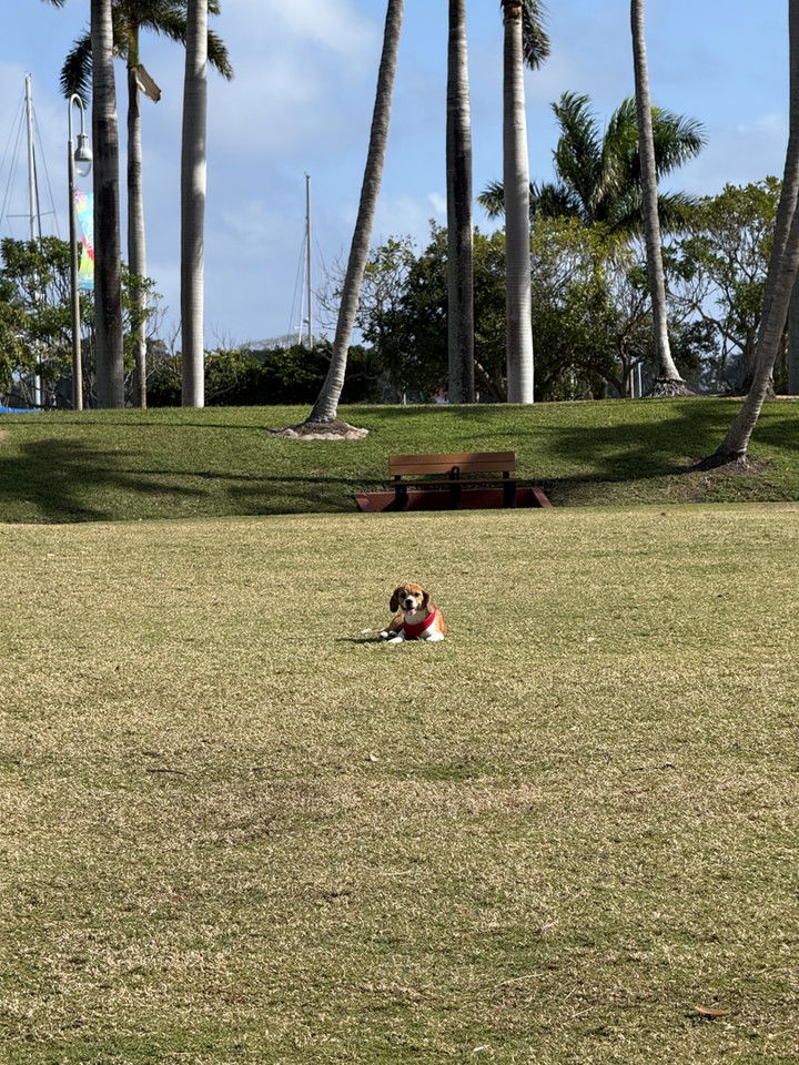 kydoddss snapchat image archive image