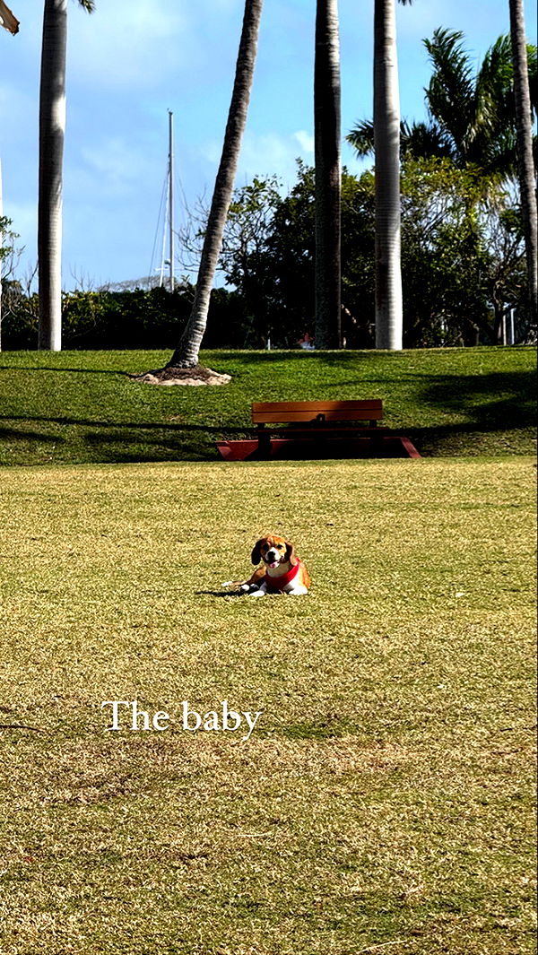 kydoddss image ~ Altpins