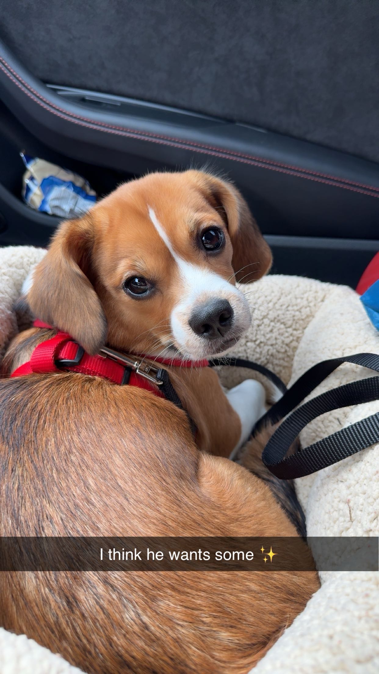 kydoddss snapchat image archive image