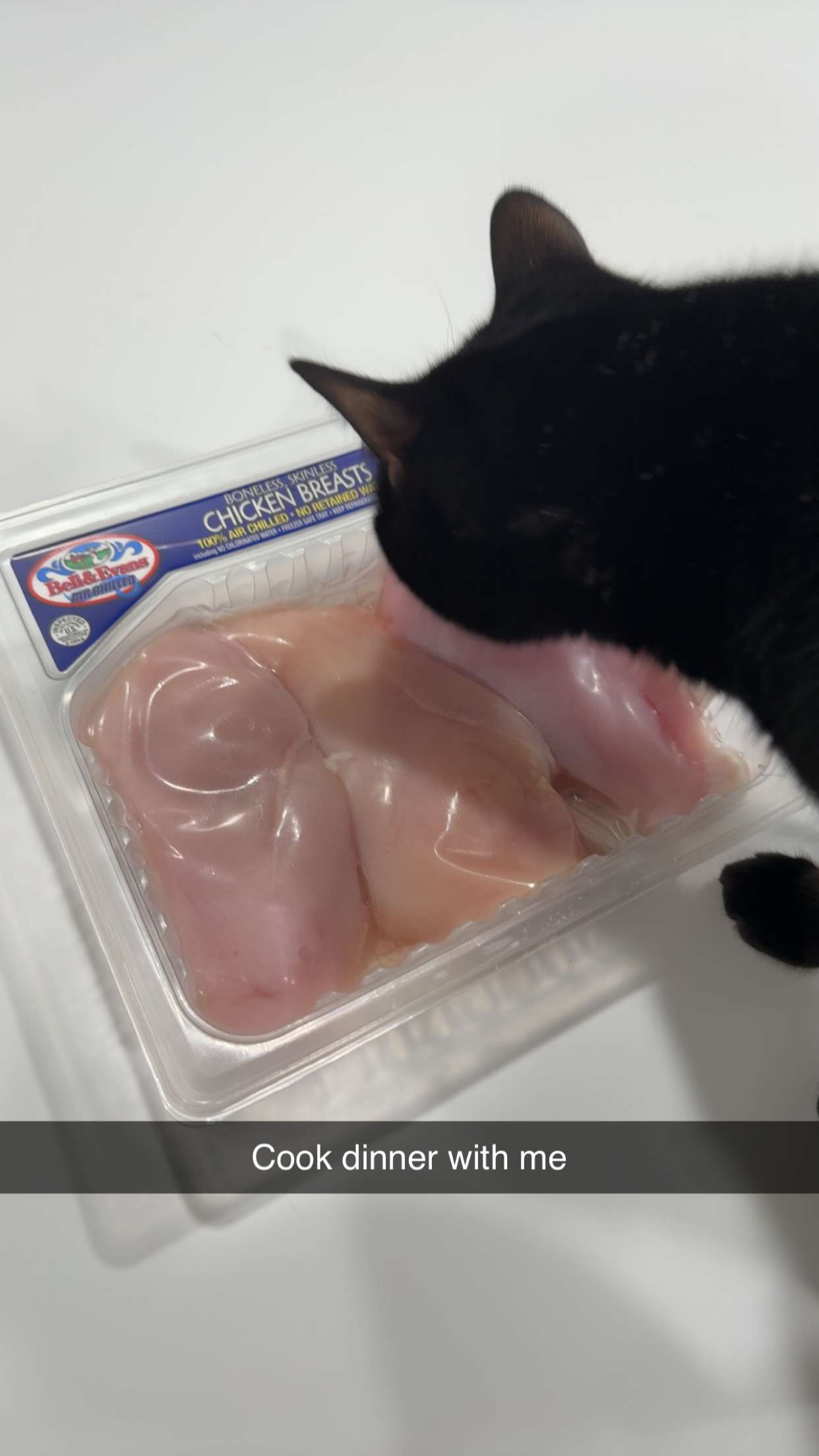 kydoddss snapchat image archive image