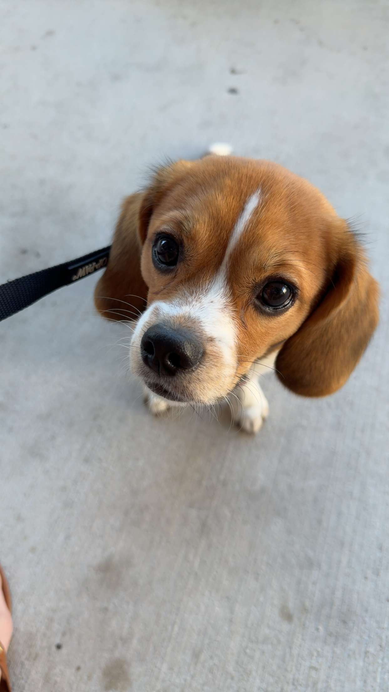 kydoddss snapchat image archive image