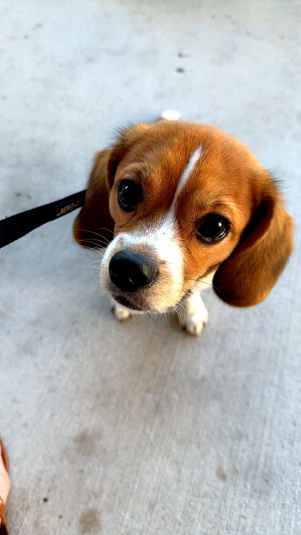 kydoddss image ~ Altpins