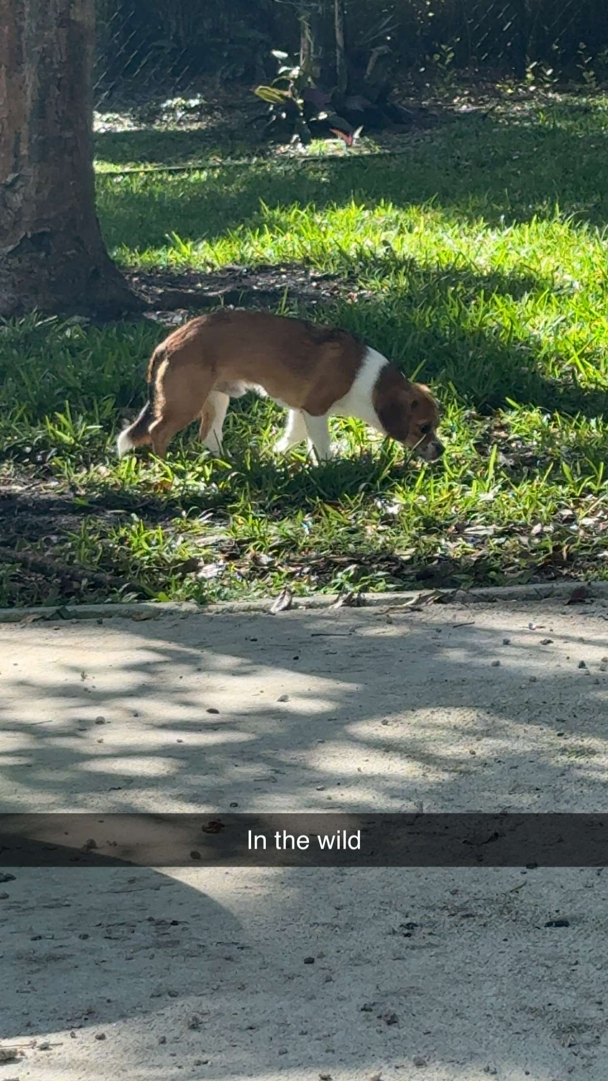 kydoddss snapchat image archive image