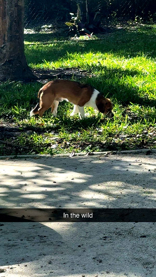 kydoddss image ~ Altpins