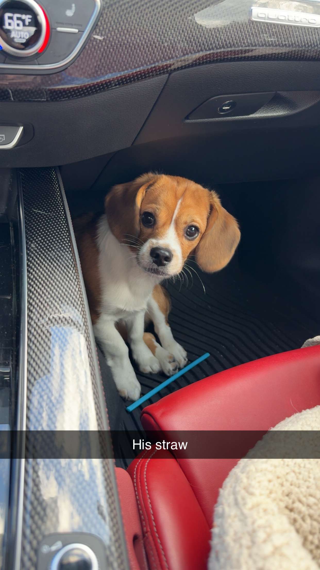 kydoddss snapchat image archive image