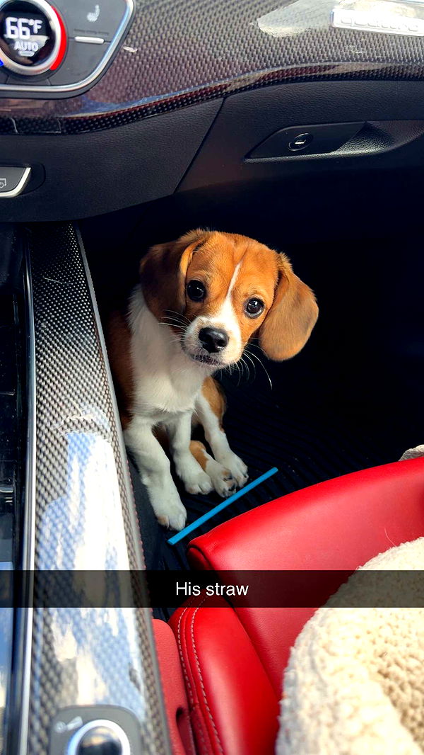 kydoddss image ~ Altpins