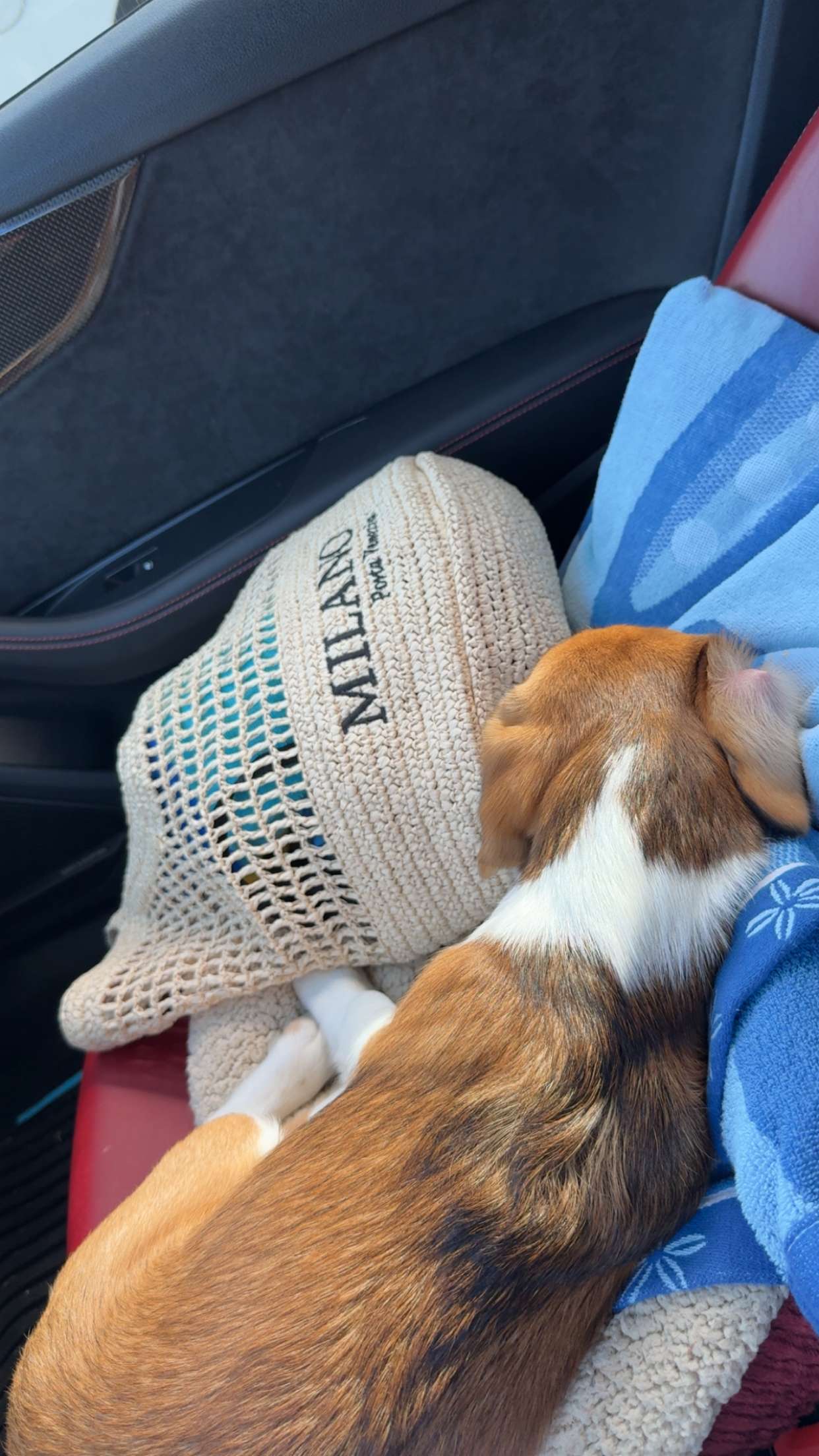 kydoddss snapchat image archive image