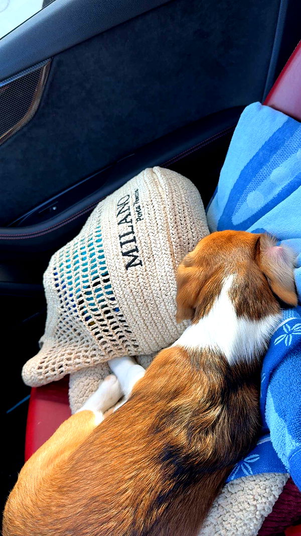 kydoddss image ~ Altpins