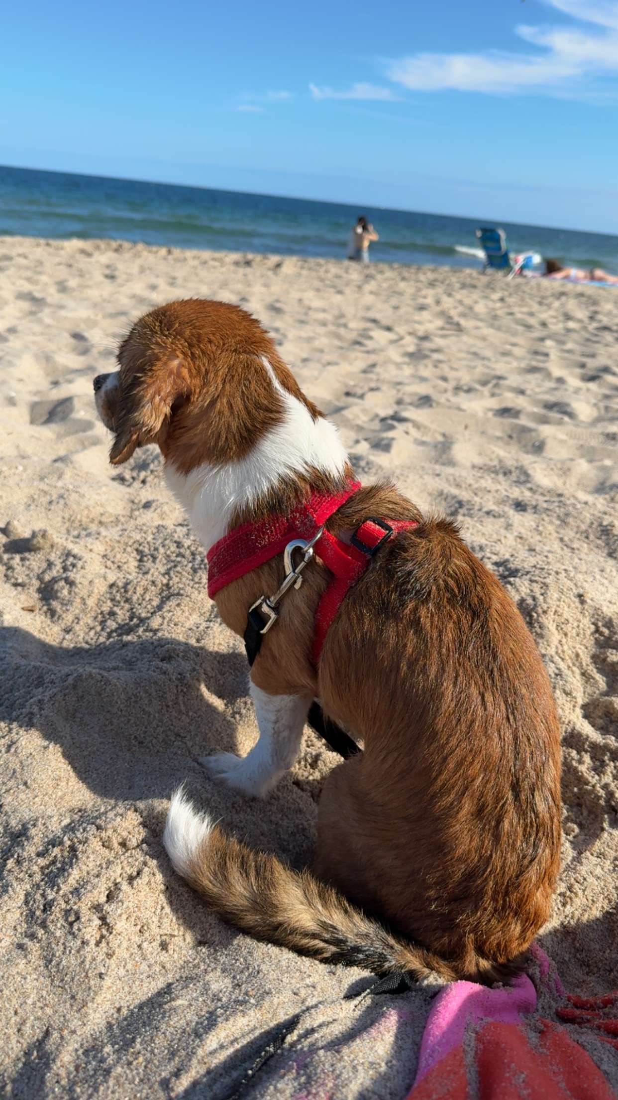 kydoddss snapchat image archive image