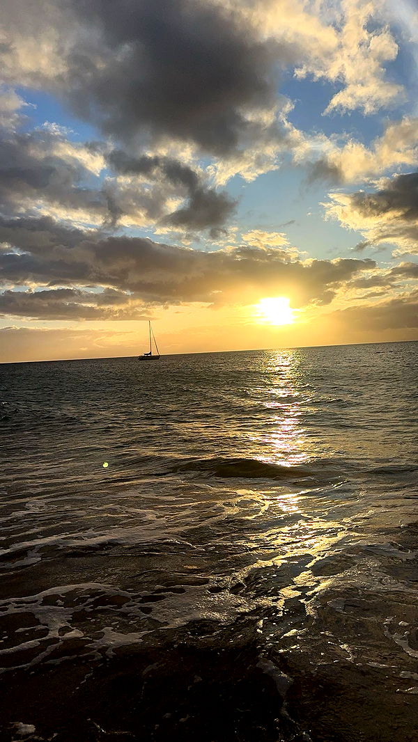 kydoddss image ~ Altpins