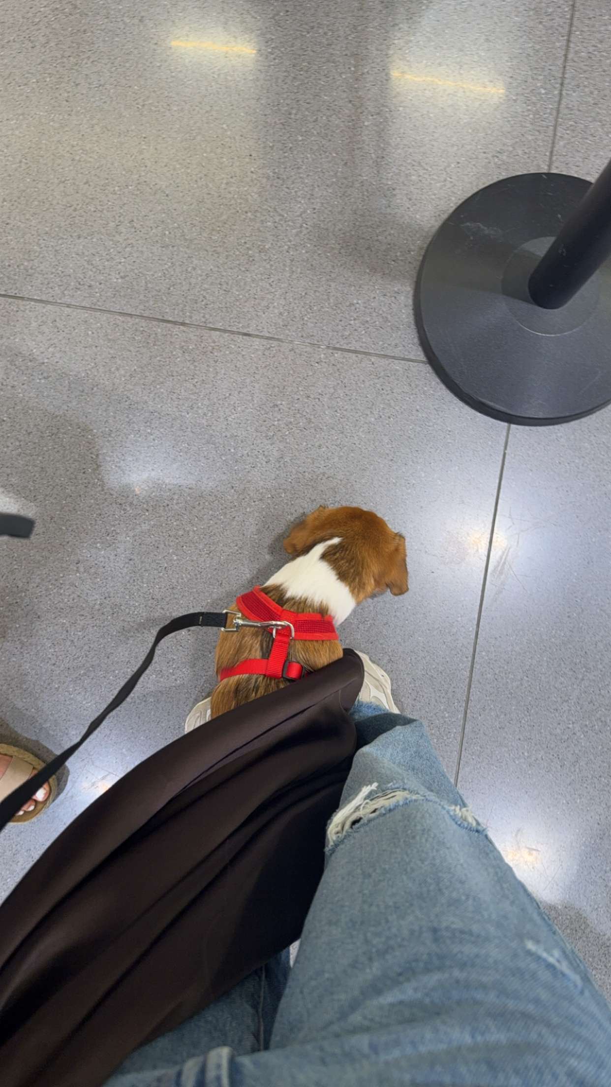 kydoddss snapchat image archive image