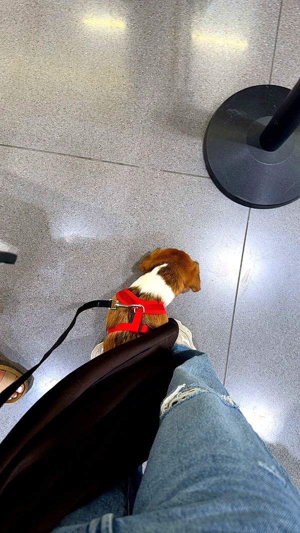 kydoddss image ~ Altpins