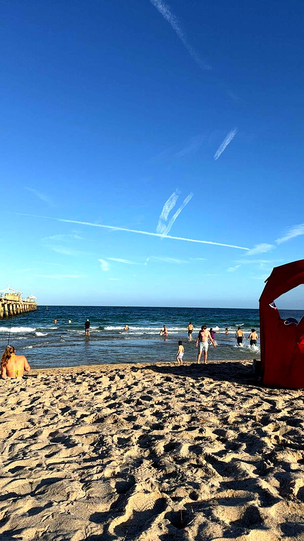 kydoddss image ~ Altpins