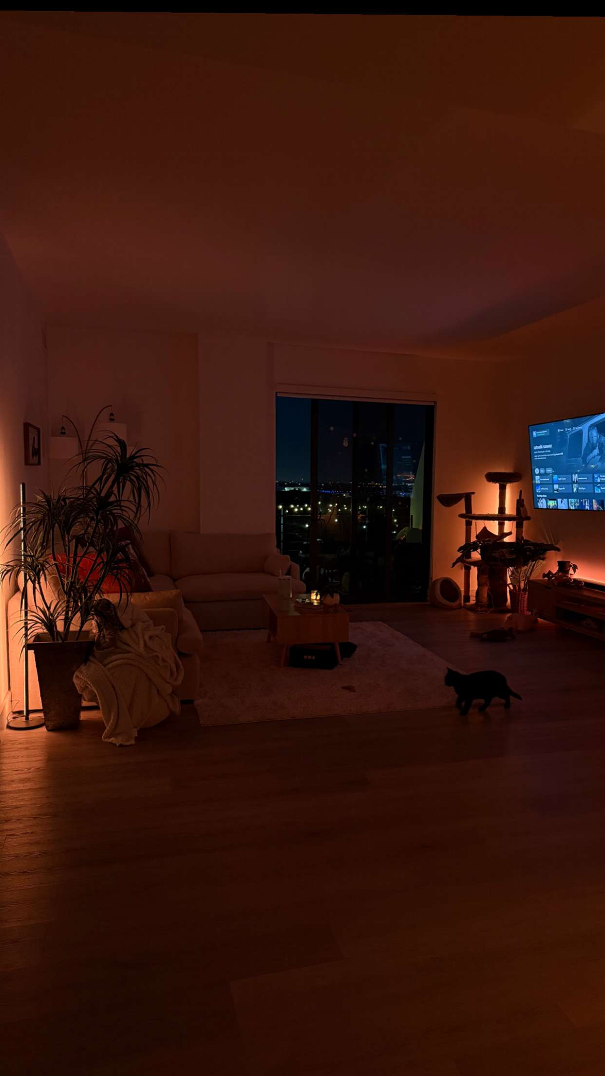 kydoddss snapchat image archive image