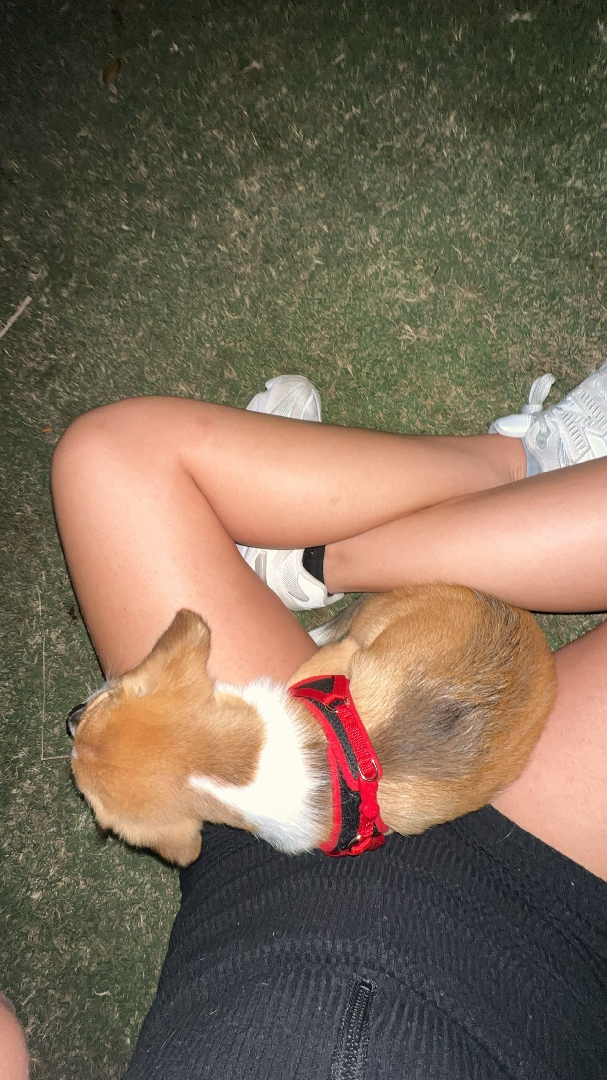 kydoddss snapchat image archive image