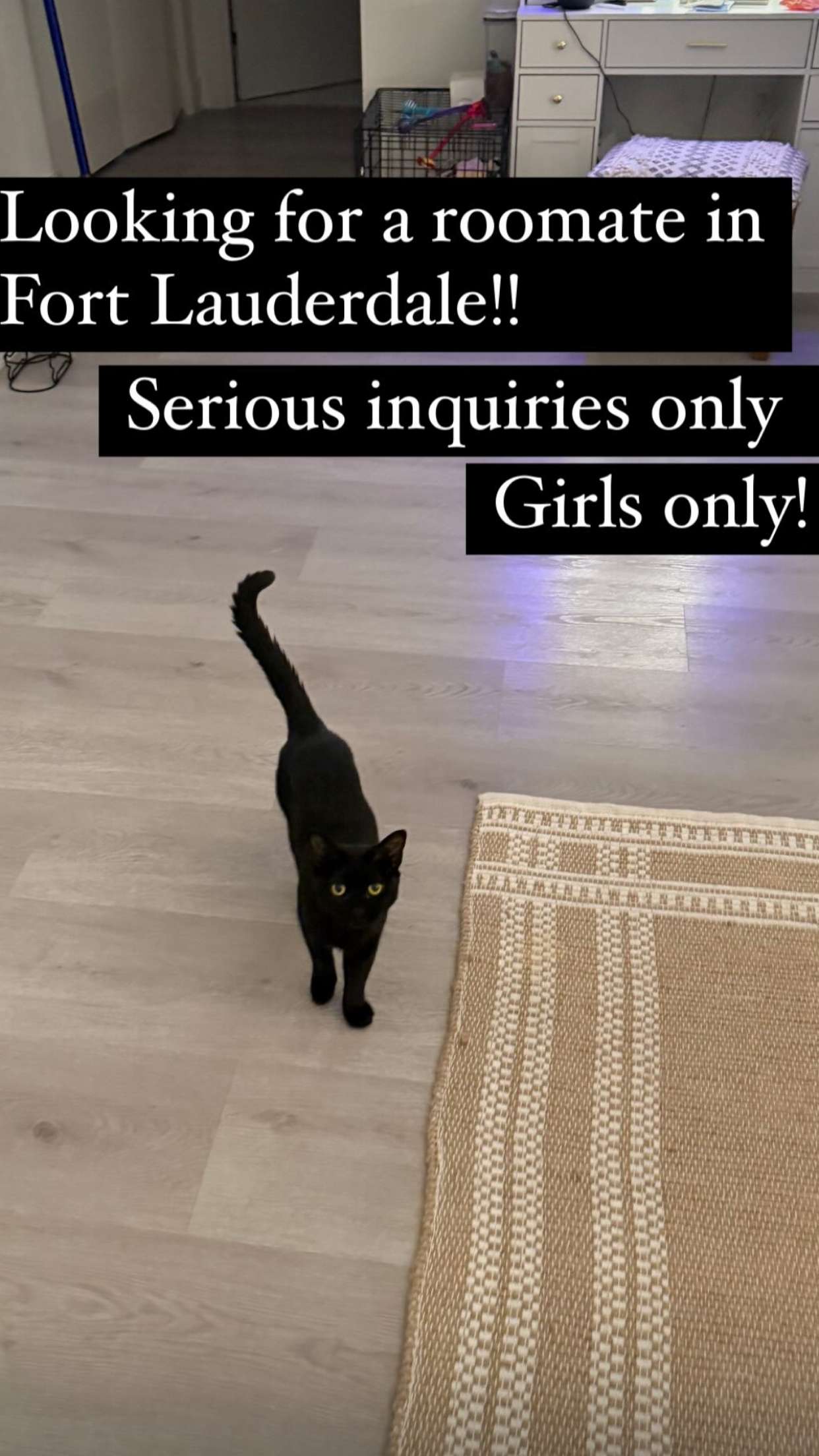 kydoddss snapchat image archive image