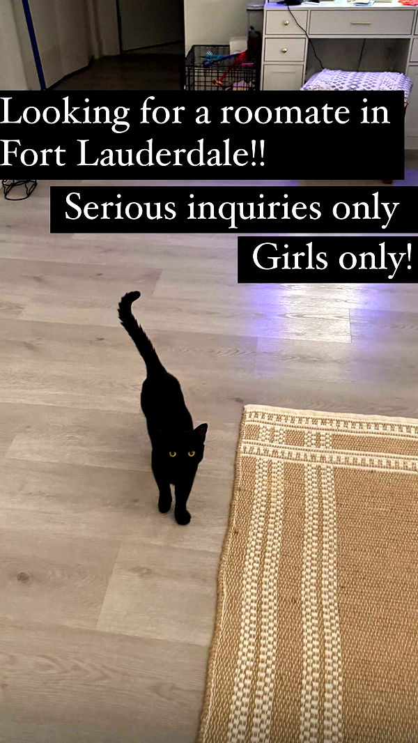 kydoddss image ~ Altpins