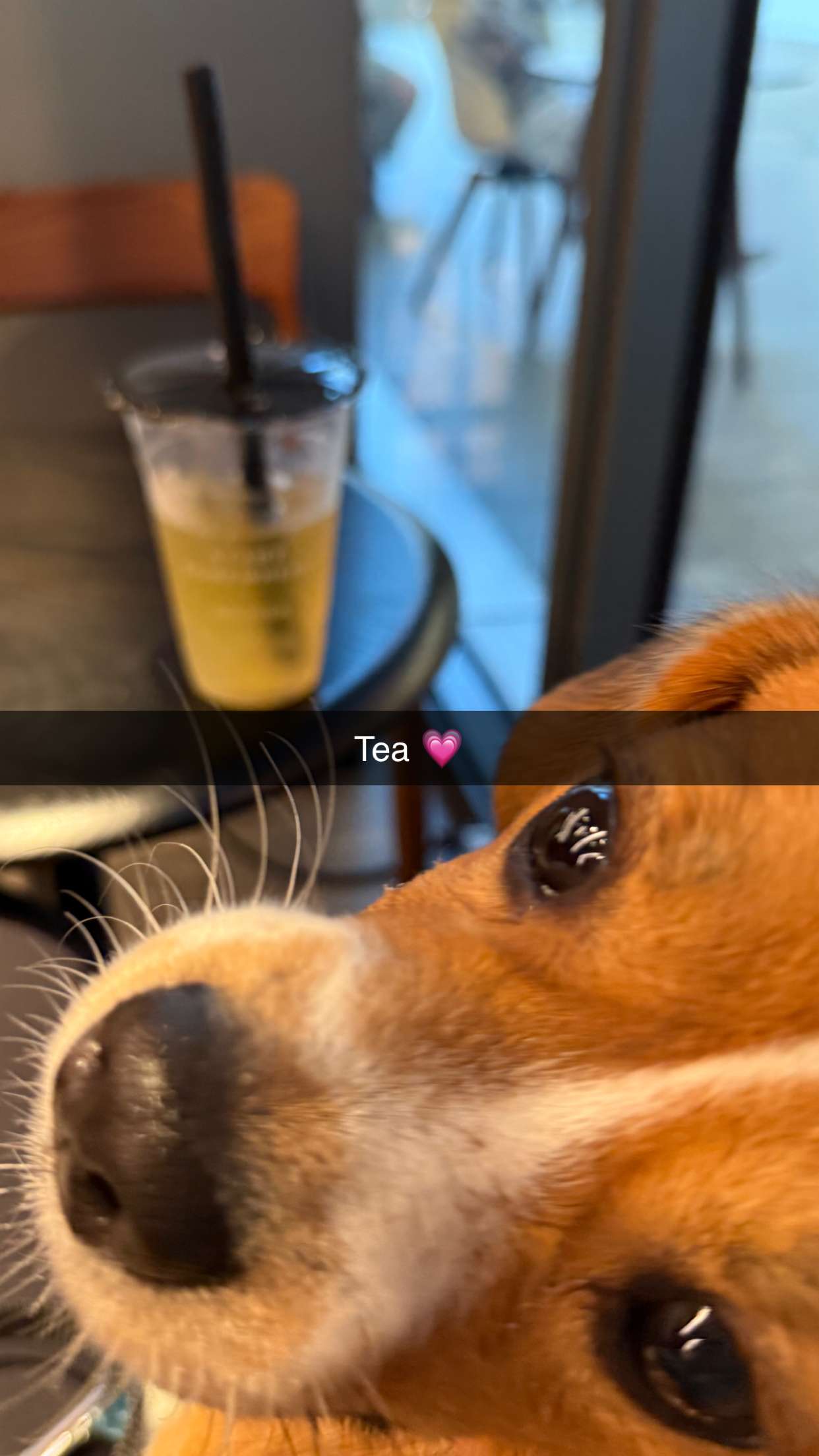 kydoddss snapchat image archive image